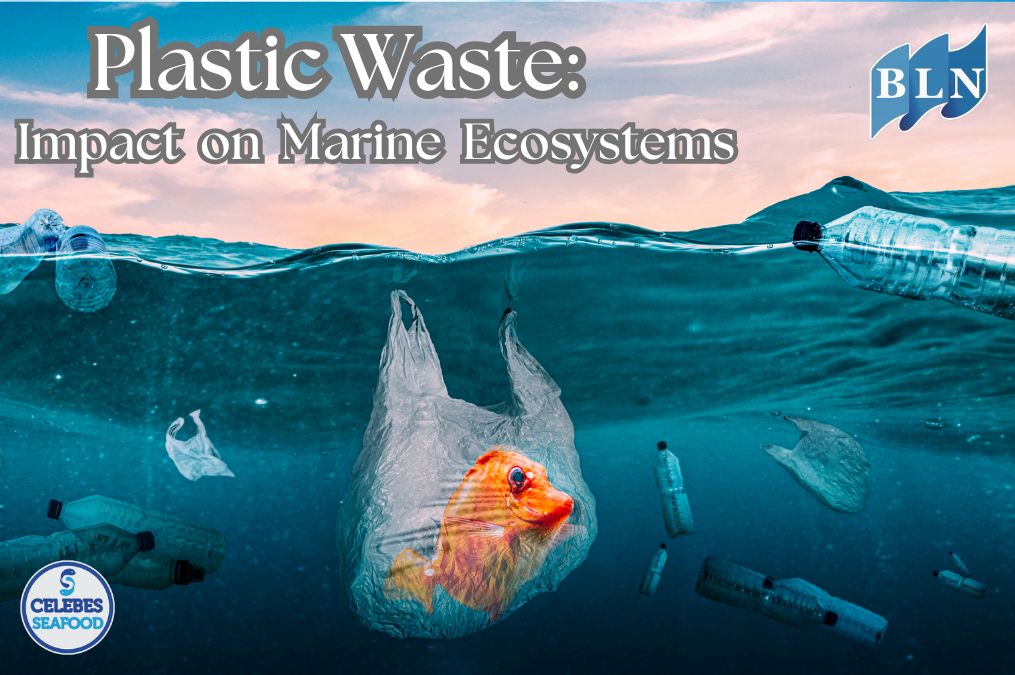 Plastic Waste: Impact on Marine Ecosystems